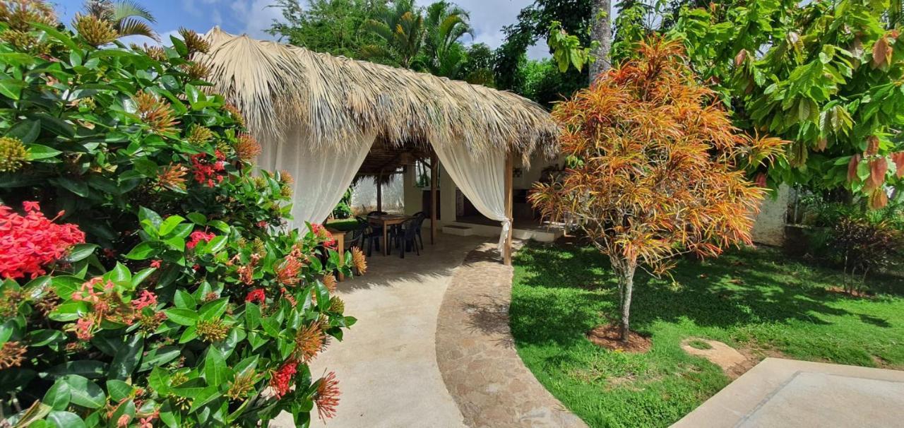 Casa Gio Hotel Las Terrenas Eksteriør billede